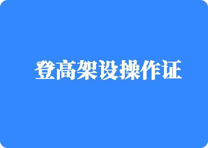 草艹逼网站上登高架设操作证